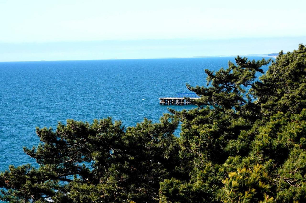 Guest House Romanadze Kobuleti Exterior photo